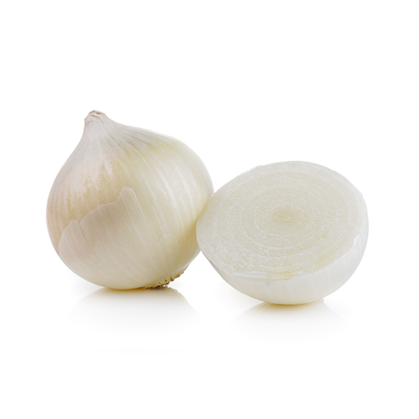 White Bermuda Onion
