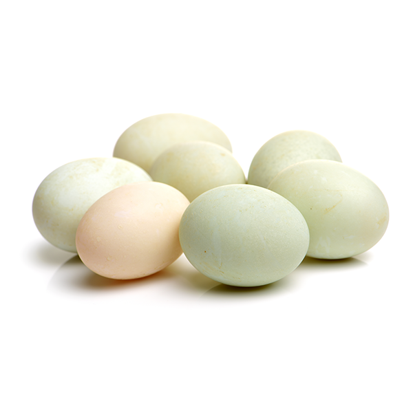 Pastured Duck Eggs