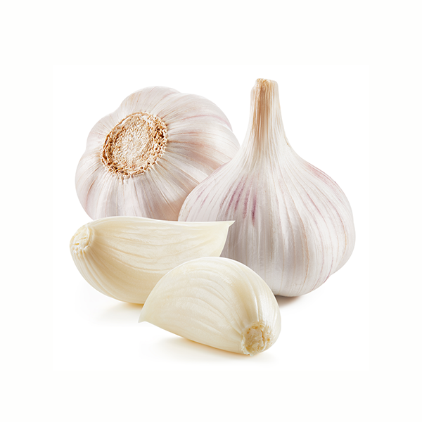 Organic Heirloom Garlic 4 ct.