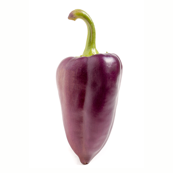 Heirloom Purple Bell Pepper